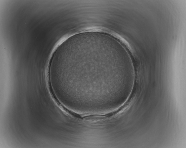 X0000116101373200911301054