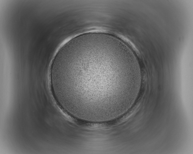 X0000116101375200911301054