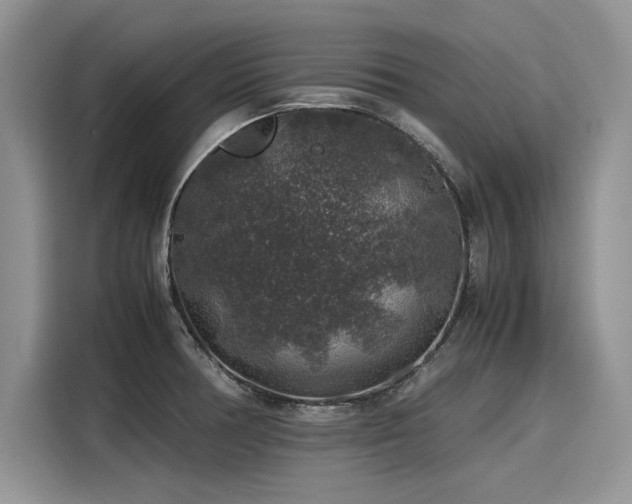 X0000116101378200911301054