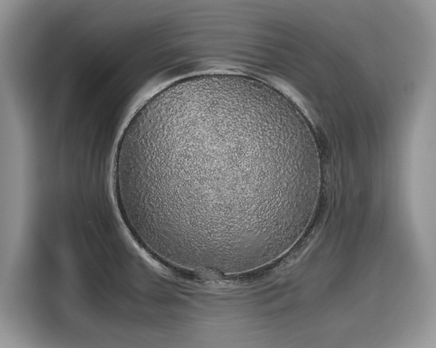 X0000116101379200911301054