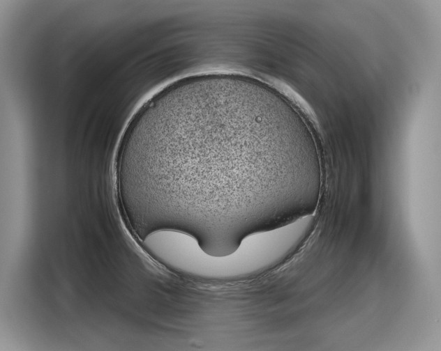 X0000116101380200911301054