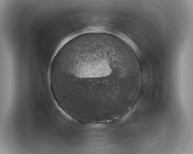 X0000116101382200911301054