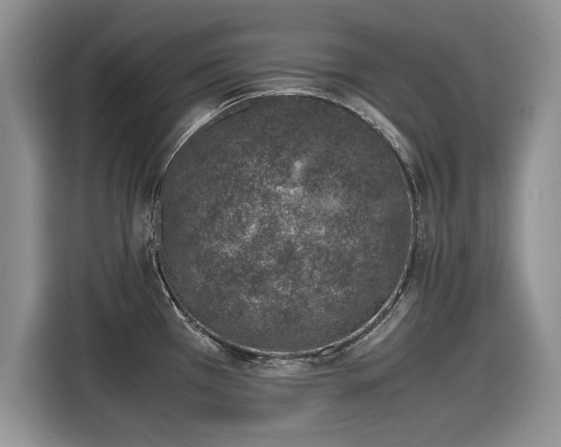 X0000116101385200911301054