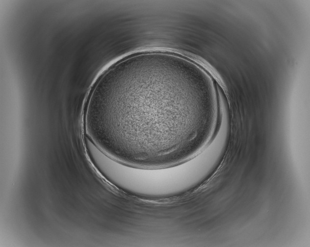 X0000116101388200911301054