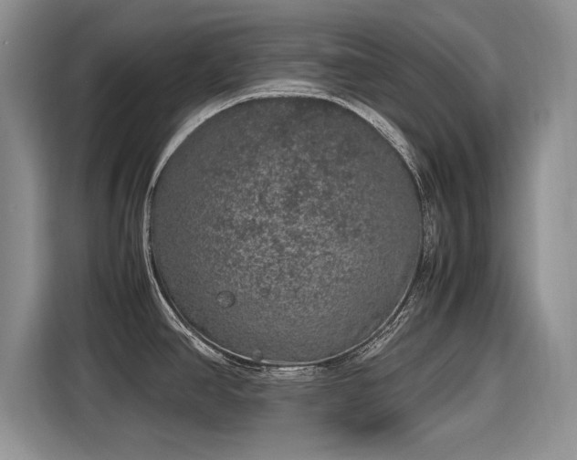 X0000116101390200911301054