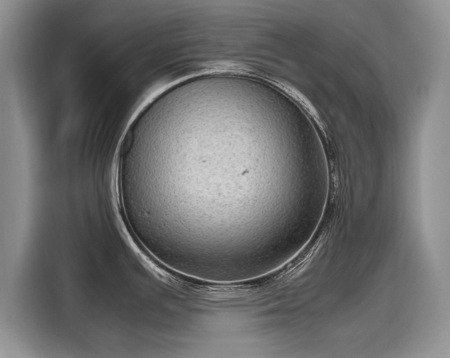 X0000116101391200911301054