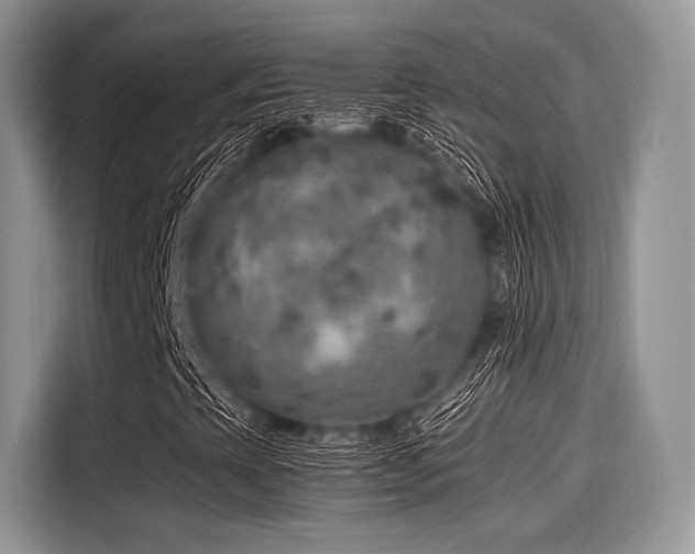X0000116101393200911301053