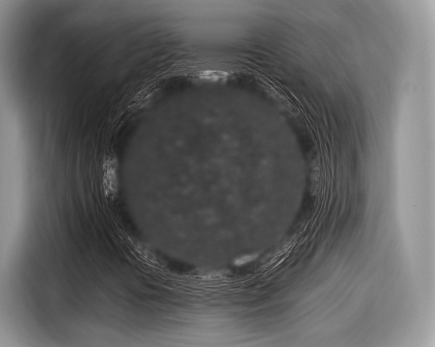 X0000116101394200911301053