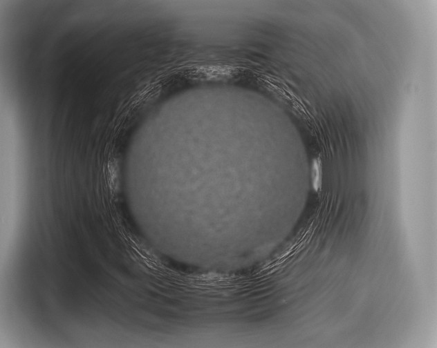 X0000116101395200911301053