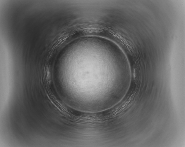 X0000116101396200911301053