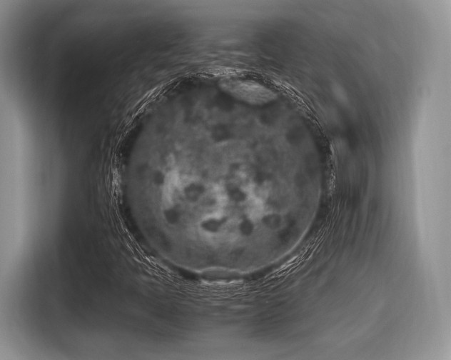 X0000116101397200911301053
