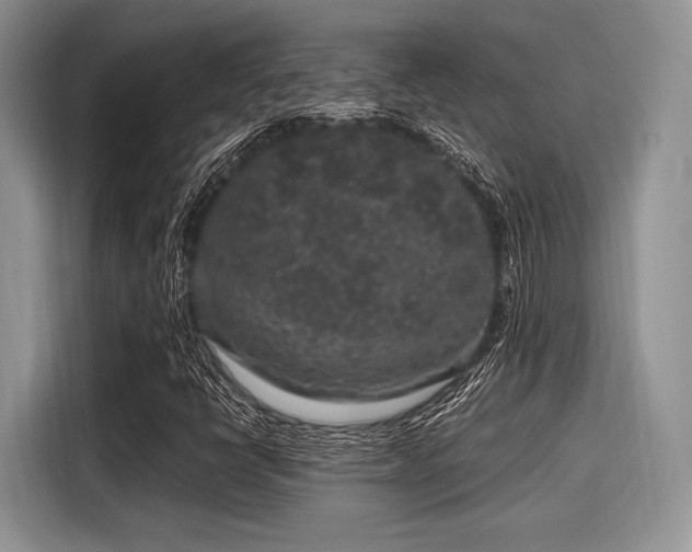 X0000116101398200911301053