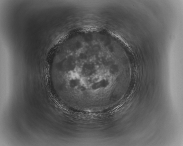 X0000116101399200911301053