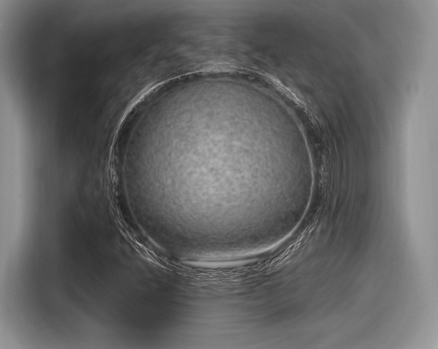 X0000116101400200911301053