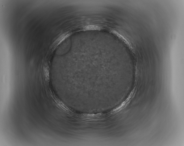 X0000116101401200911301053