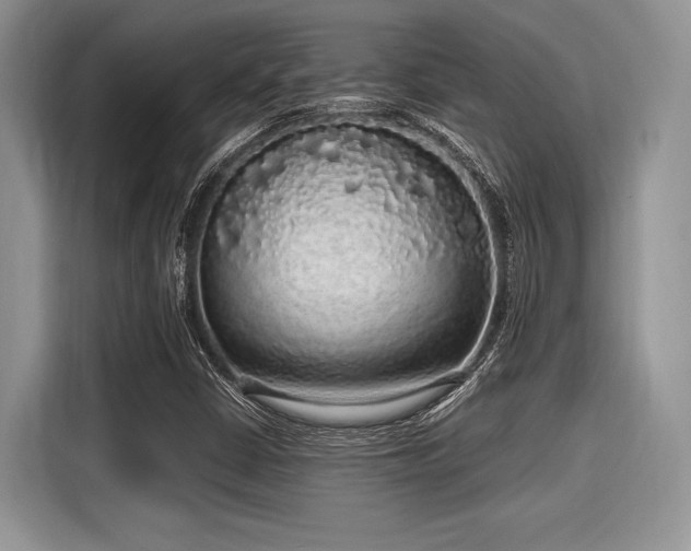 X0000116101402200911301053