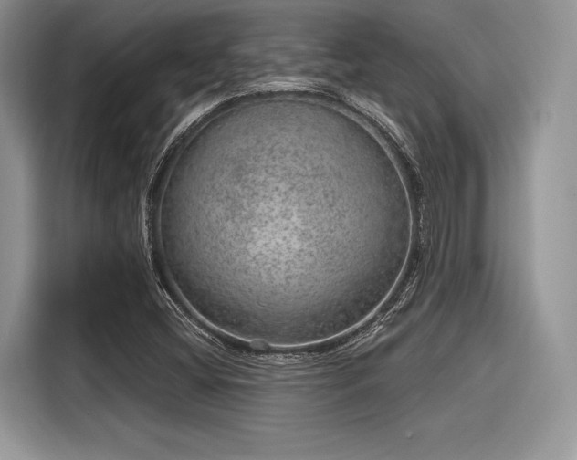 X0000116101404200911301053