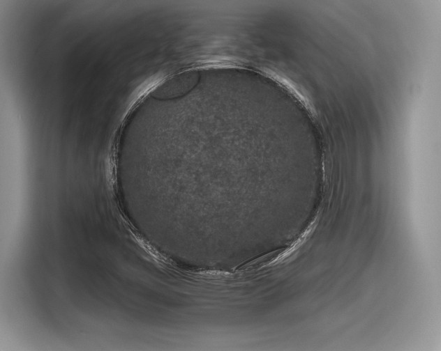 X0000116101405200911301053