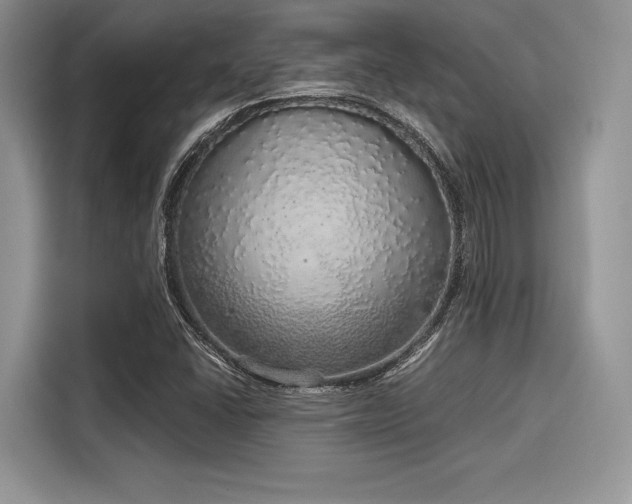 X0000116101406200911301053