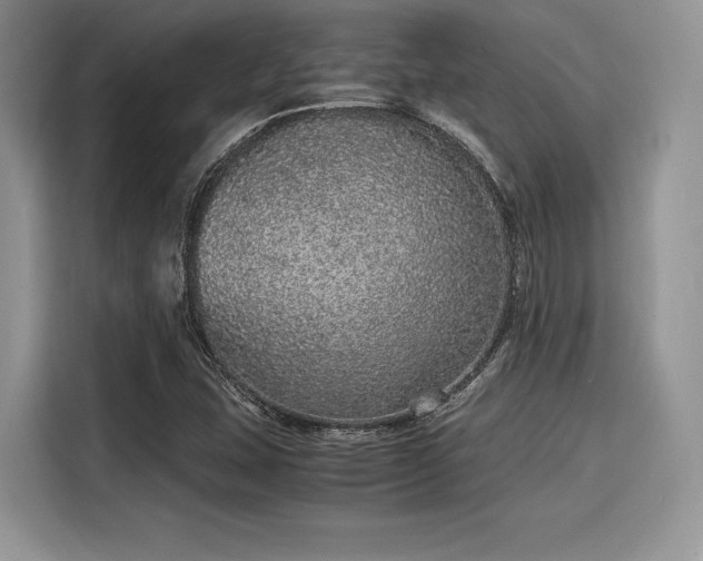 X0000116101407200911301053