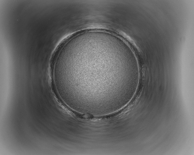 X0000116101408200911301053