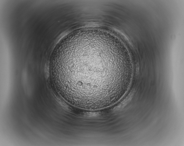 X0000116101409200911301053