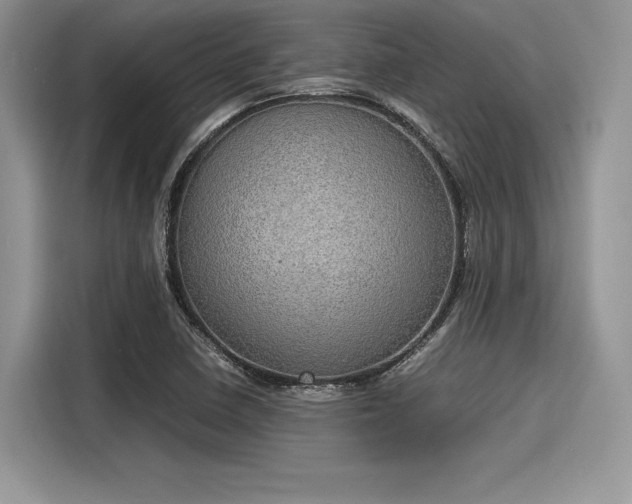 X0000116101410200911301053