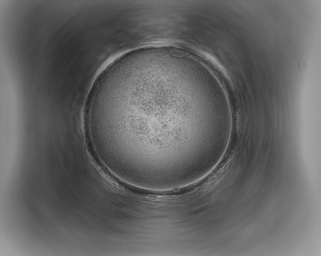 X0000116101412200911301053