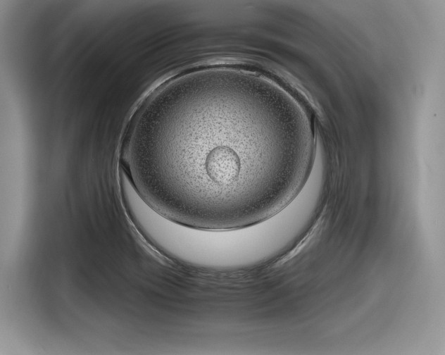 X0000116101417200911301053
