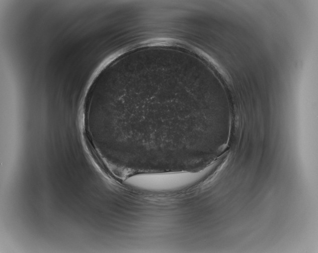 X0000116101418200911301053