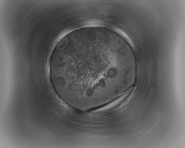 X0000116101419200911301053