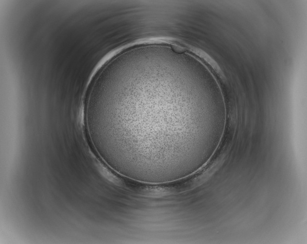 X0000116101420200911301053