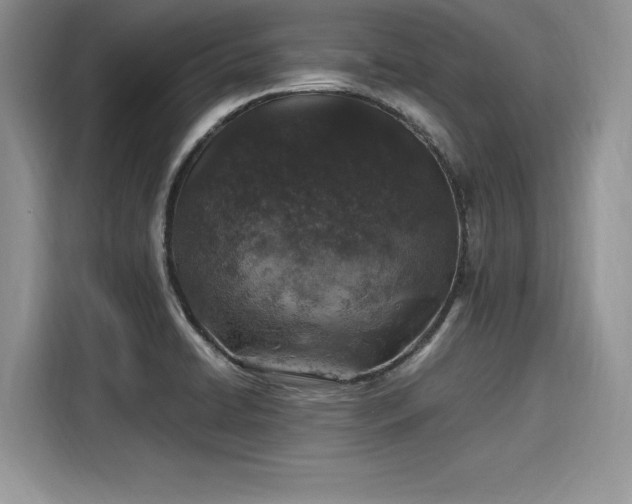 X0000116101422200911301053