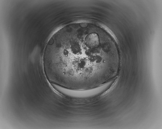 X0000116101425200911301054