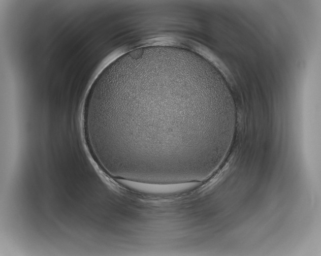 X0000116101426200911301054