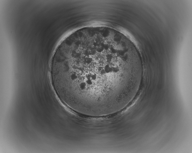 X0000116101429200911301054