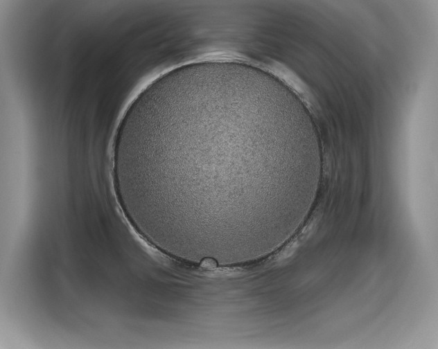 X0000116101430200911301054