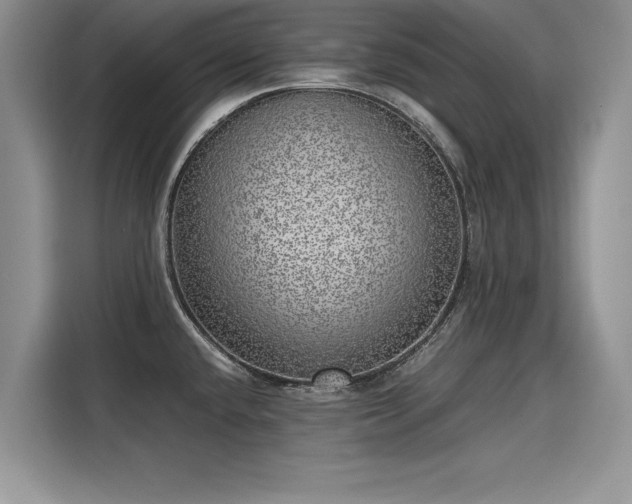 X0000116101432200911301054