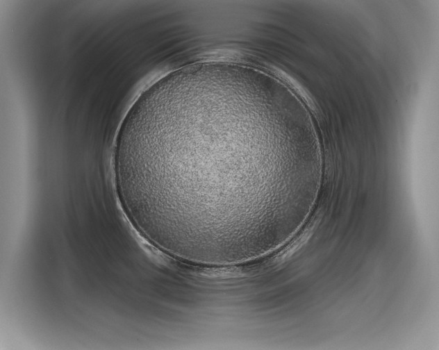 X0000116101434200911301054