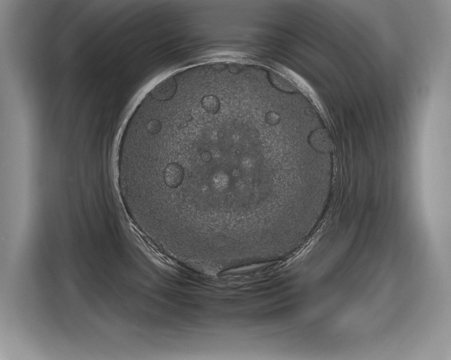 X0000116101435200911301054