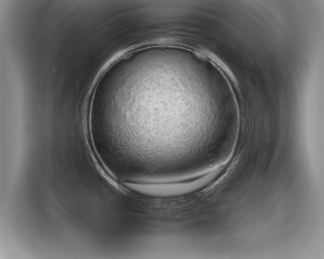 X0000116101437200911301054