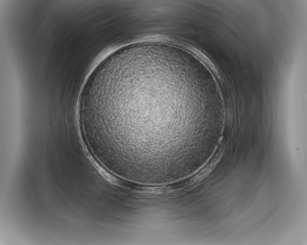 X0000116101438200911301054