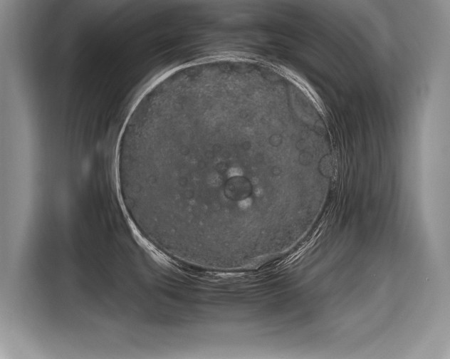 X0000116101439200911301054