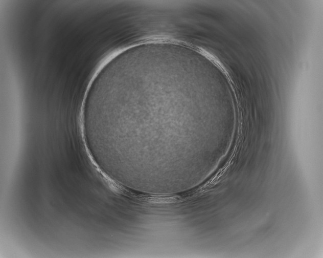 X0000116101440200911301054