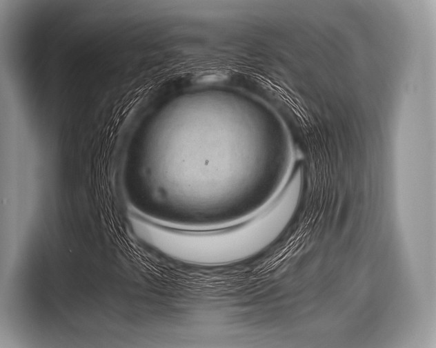 X0000116101441200911301053