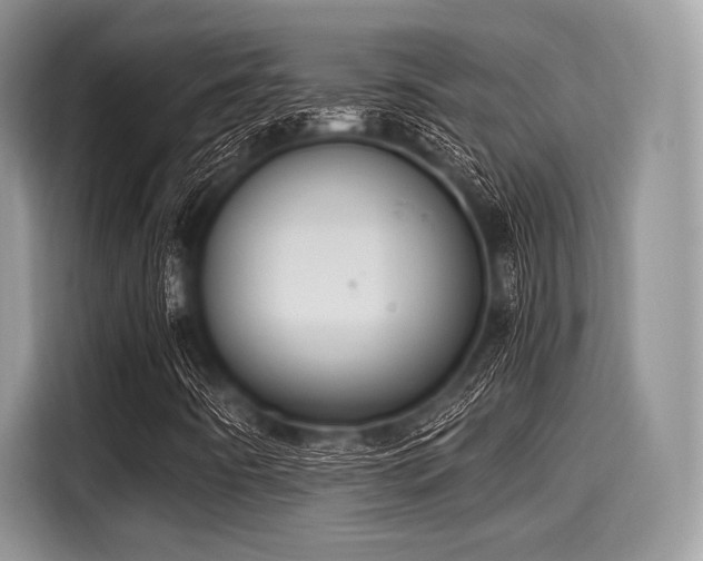 X0000116101442200911301053