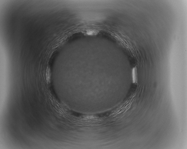 X0000116101443200911301053