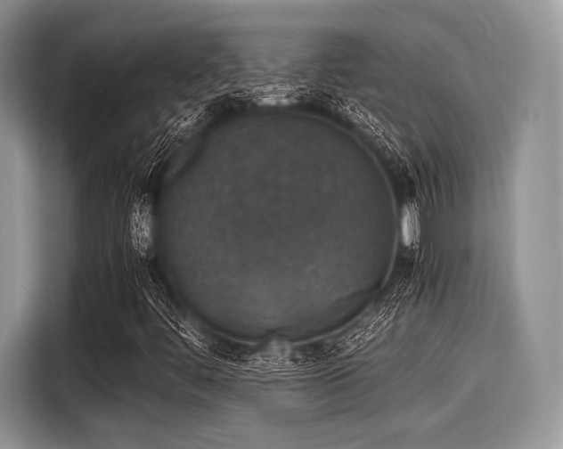 X0000116101444200911301053