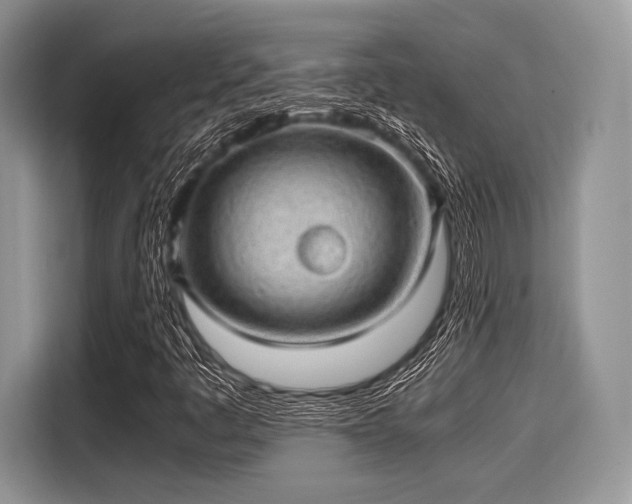 X0000116101445200911301053