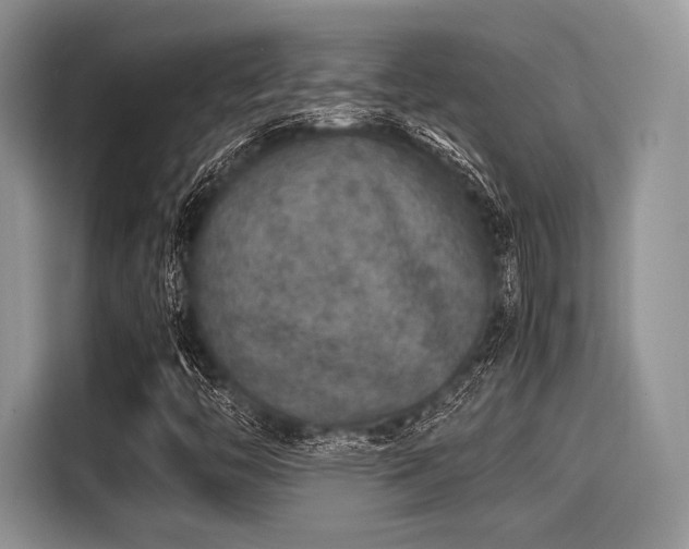 X0000116101446200911301053